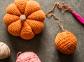 Pumpkin Crochet